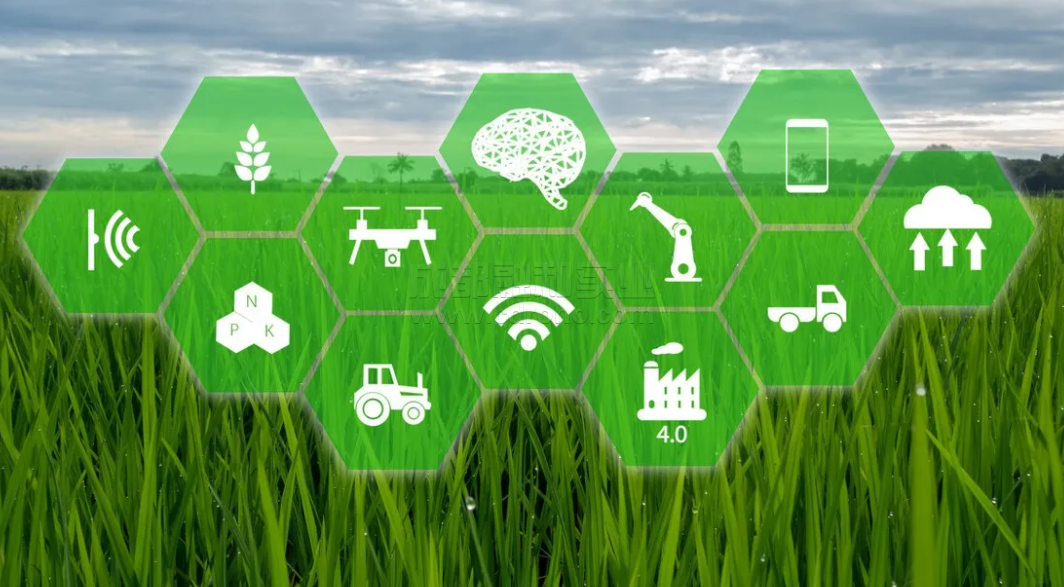 区块链4.0生态建设(你知道区块链π生态吗?)