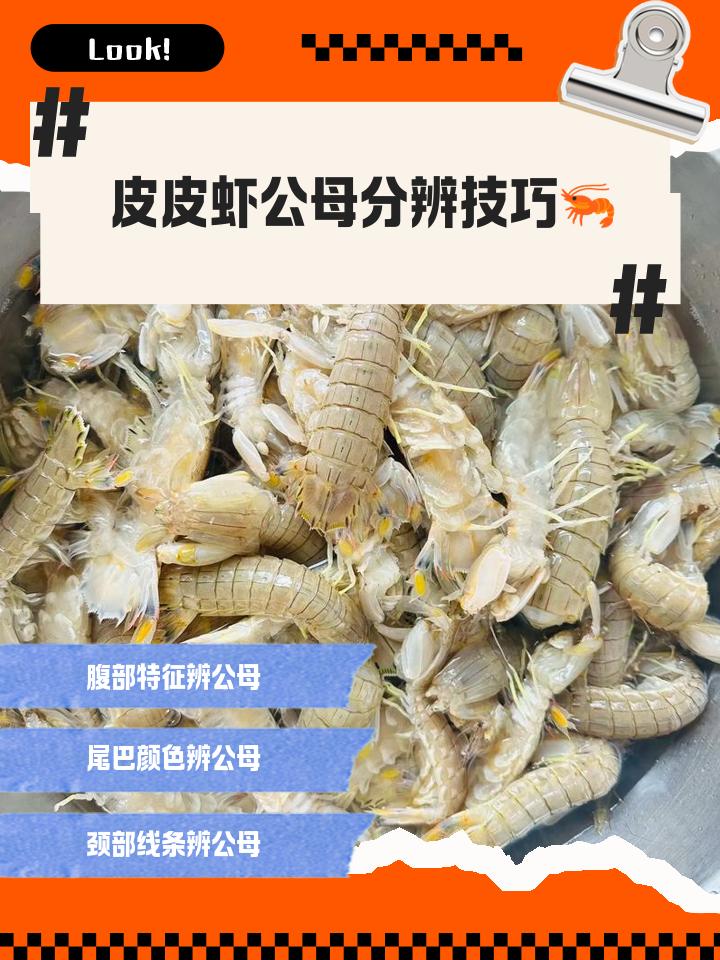 如何下载皮皮虾区块链视频(如何下载皮皮虾区块链视频呢) 如何下载皮皮虾区块链视频(如何下载皮皮虾区块链视频呢)