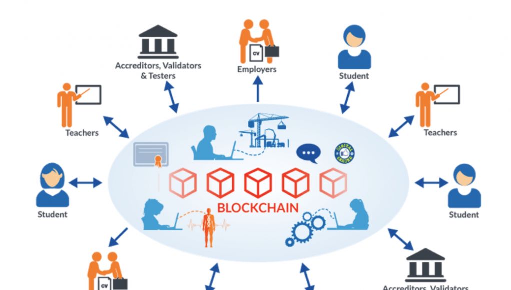 区块链经济与技术管理专业(怎么做区块链)
