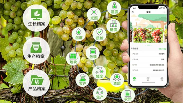 包含区块链10个禁忌什么意思的词条 包含区块链10个禁忌什么意思的词条