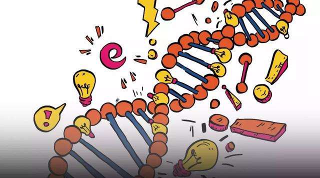 区块链和合康新能的关系(区块链靠什么盈利) 区块链和合康新能的关系(区块链靠什么盈利)