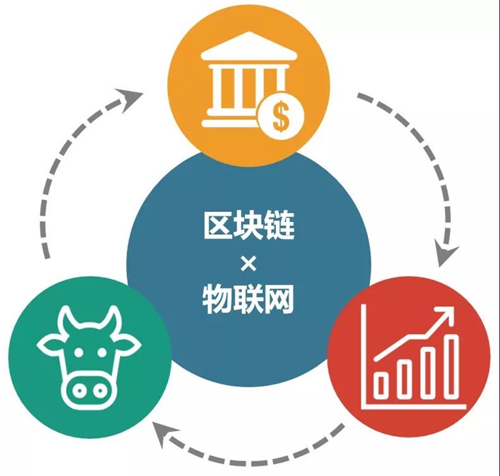 物联网和区块链同台上市(区块链和物联网哪个有前景) 物联网和区块链同台上市(区块链和物联网哪个有前景)