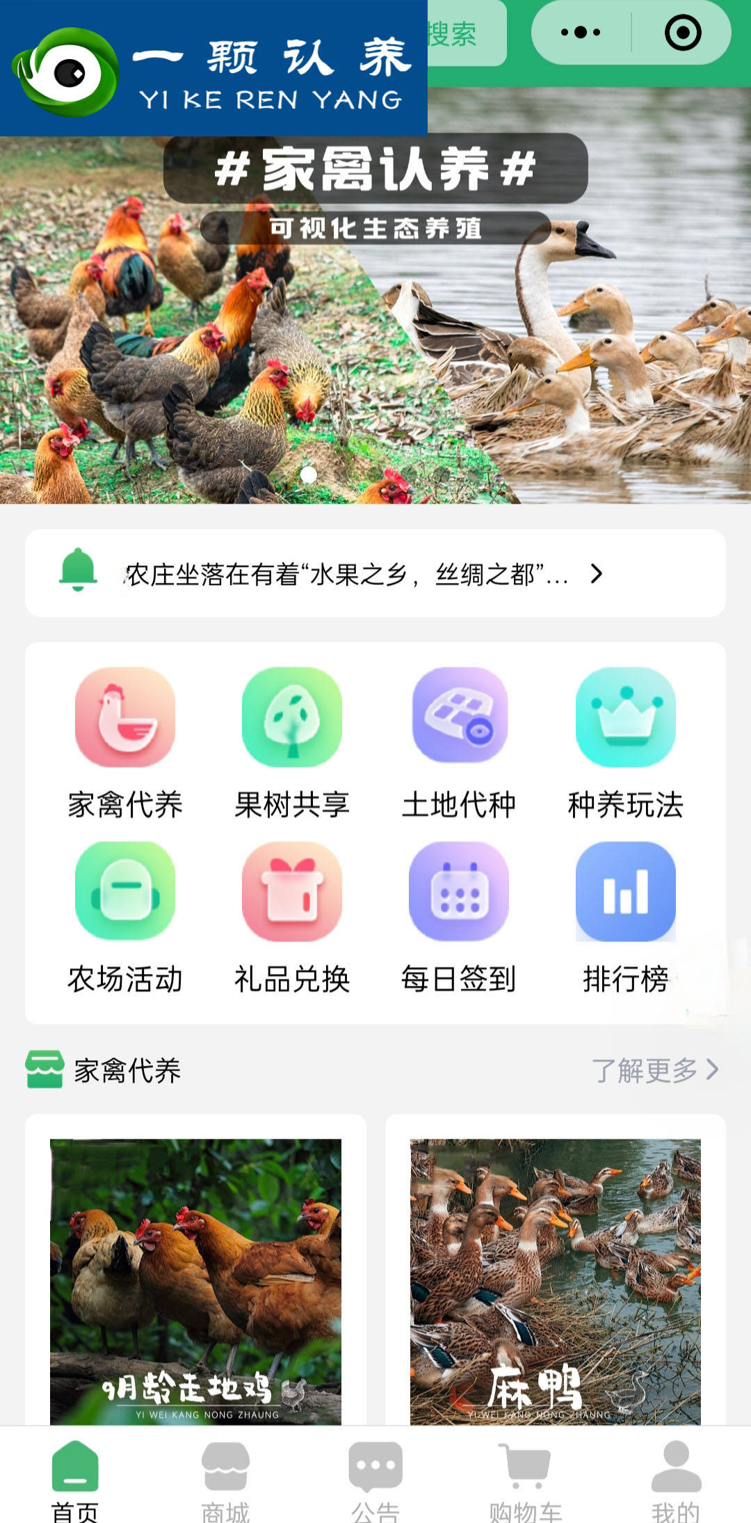 区块链农产品市场前景(区块链农产品市场前景如何)