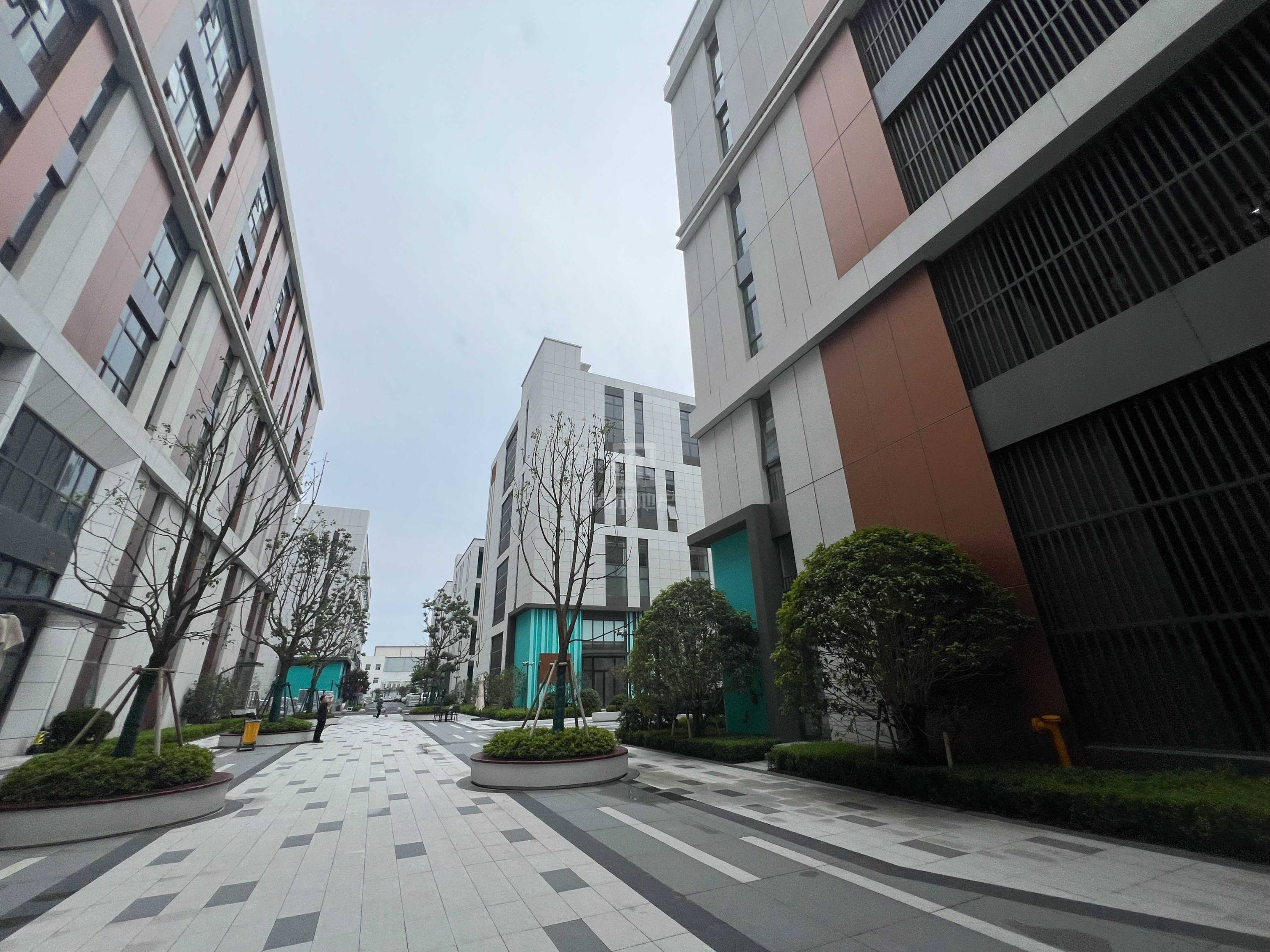 杨浦区区块链发展中心(上海市杨浦区投资服务发展中心) 杨浦区区块链发展中心(上海市杨浦区投资服务发展中心)